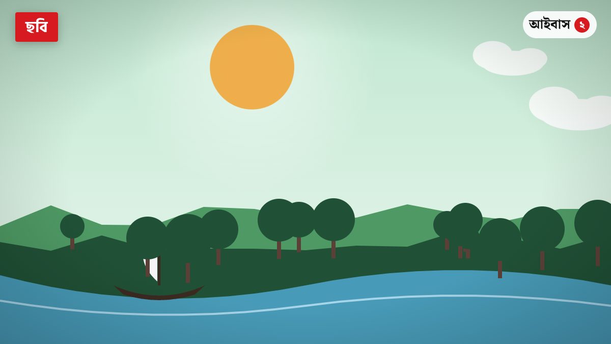 ছবিতে দেখুন: পাখির কলকাকলিতে মুখর হাওর
